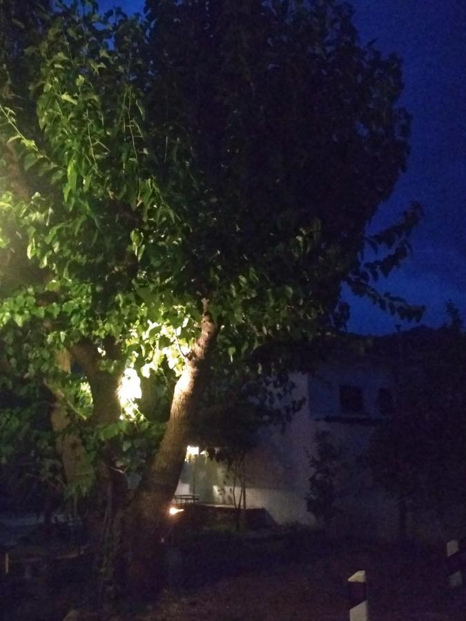 Kalama Apartments Kálamos Zewnętrze zdjęcie
